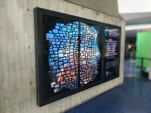New England Aquarium Lobby Display